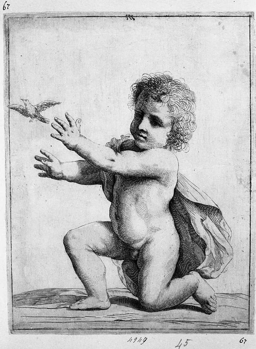 bambino con colomba (stampa) di Bonaveri Domenico Maria, Barbieri Giovanni Francesco detto Guercino (secc. XVII/ XVIII)