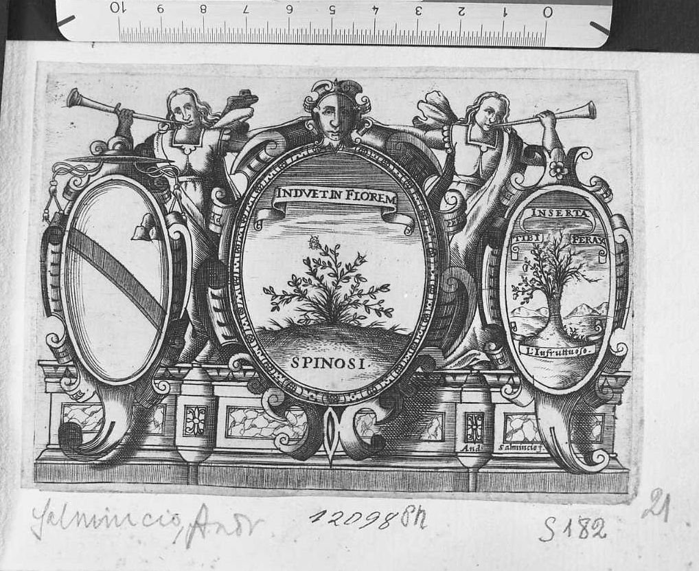 Stemma famiglia Spinosa "INDUET IN FLOREM" (stampa) di Salmicio Andrea (sec. XVIII)