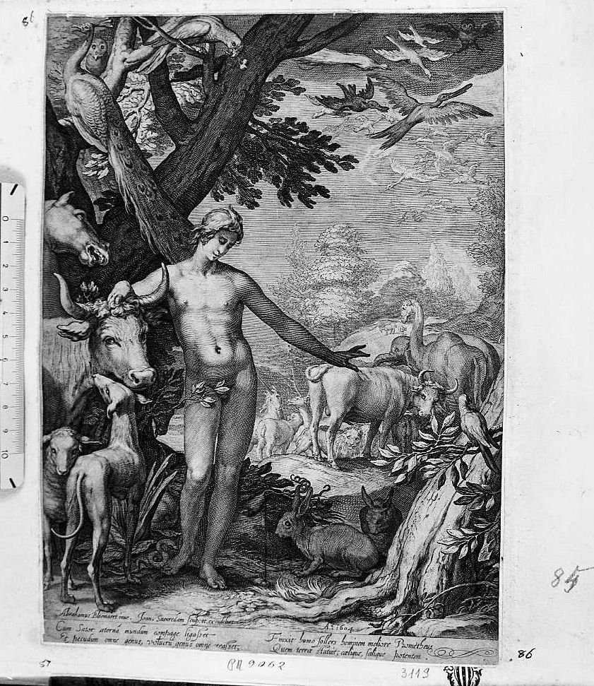 Adamo che da il nome agli animali (stampa) di Saenredam Jan Pietersz (sec. XVII)