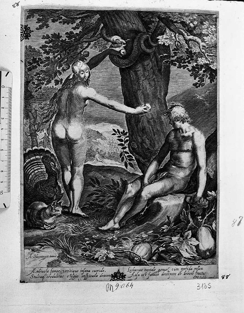 Eva che indica l'albero ad Adamo (stampa) di Saenredam Jan Pietersz (sec. XVII)