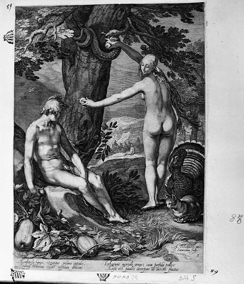 Eva che indica l'albero ad Adamo (stampa) di Saenredam Jan Pietersz (sec. XVII)