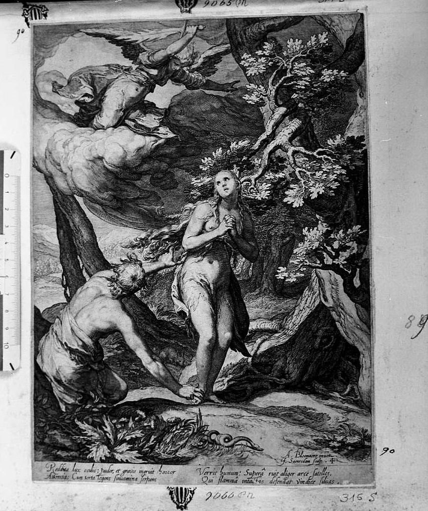 Adamo ed Eva cacciati dal Paradiso (stampa) di Saenredam Jan Pietersz (sec. XVII)