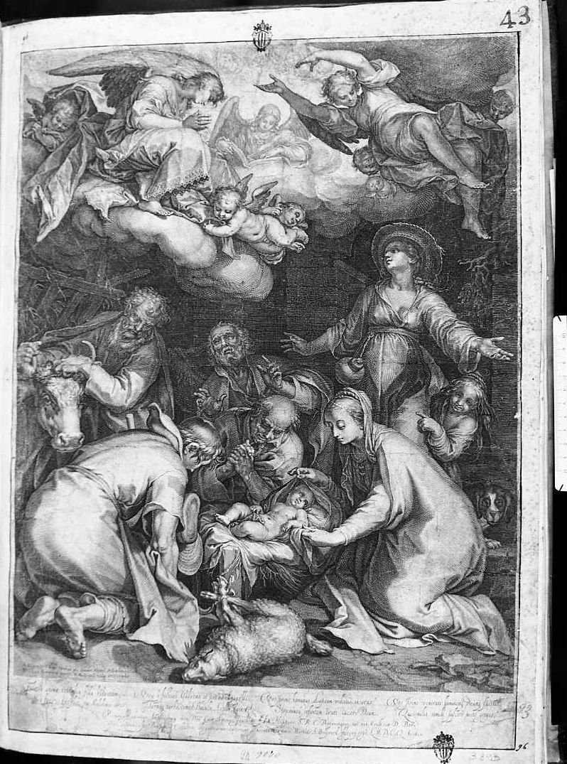 l'adorazione dei pastori (stampa) di Bolswert Boetius Adam (sec. XVII)
