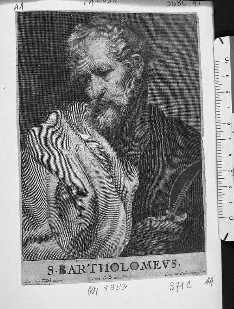 San Bartolomeo (stampa) di Van Caukerken Cornelis, Van Dyck Anton (sec. XVII)