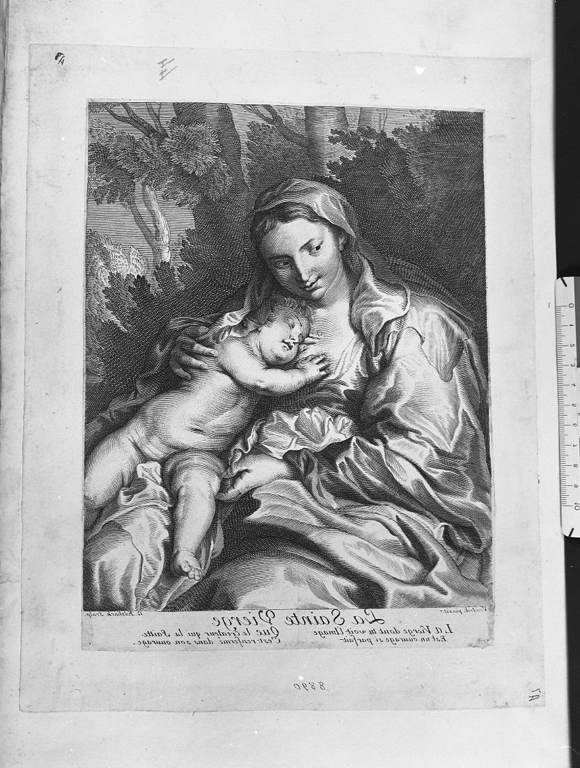 La Vergine con Bambino (stampa) di Van Dyck Anton, Edelink Gaspar François (secc. XVII/ XVIII)