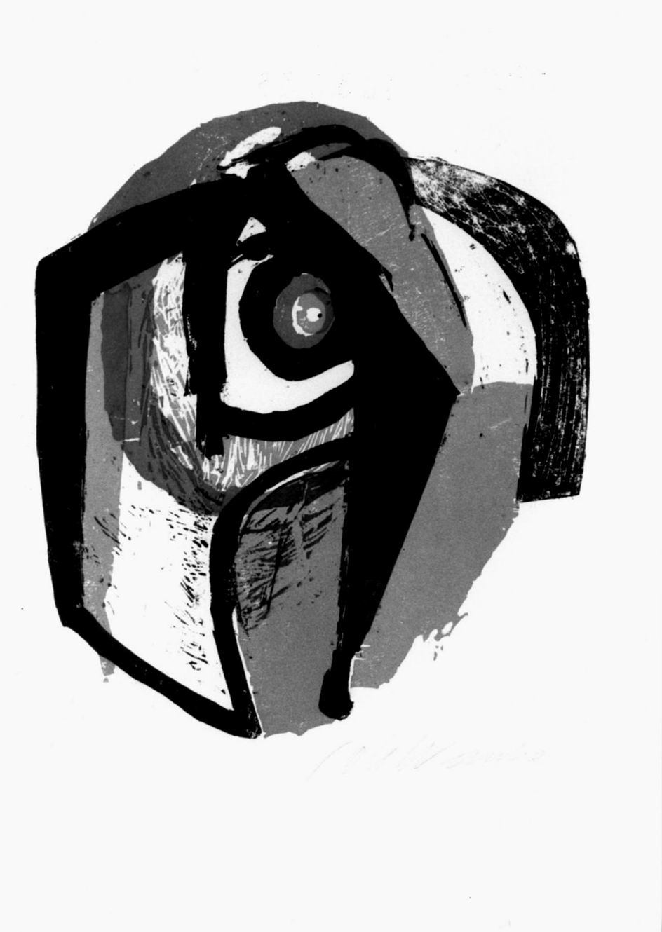 Testa di pappagallo (stampa a colori) di Wanke Johannes (sec. XX)