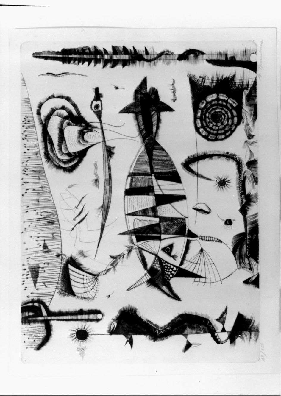 Lo strano pesce, Grande pesce e varia fauna marina (stampa) di Trautner Elfriede (sec. XX)