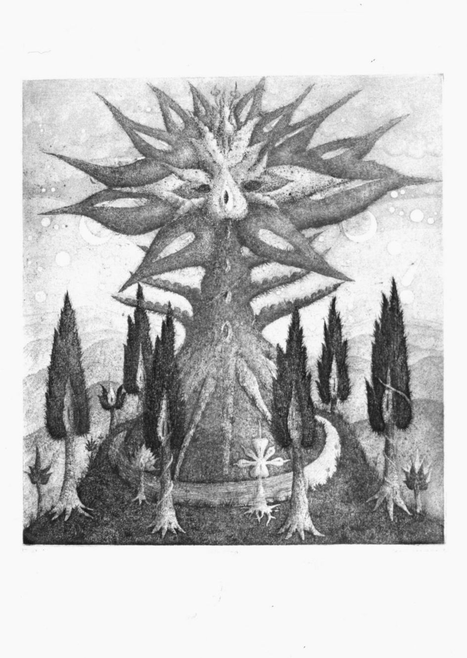 Montagna con alberi e ruscello (stampa a colori) di Steiner Ernst (sec. XX)