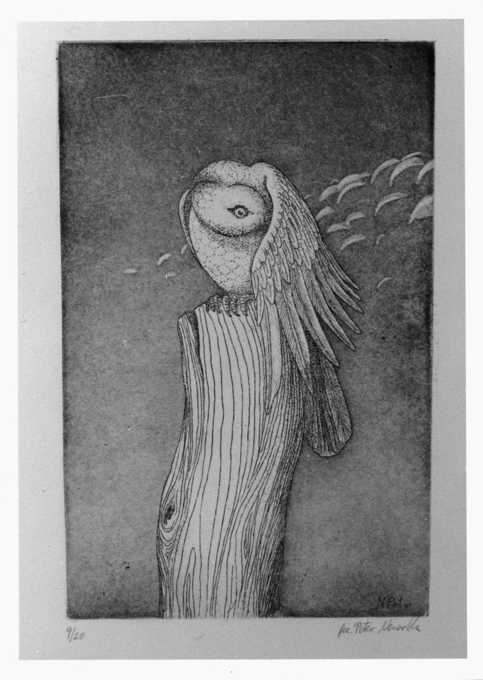 Die taube des Ikarus, Colomba appollaiata su un tronco (stampa) di Newrkla Peter (sec. XX)