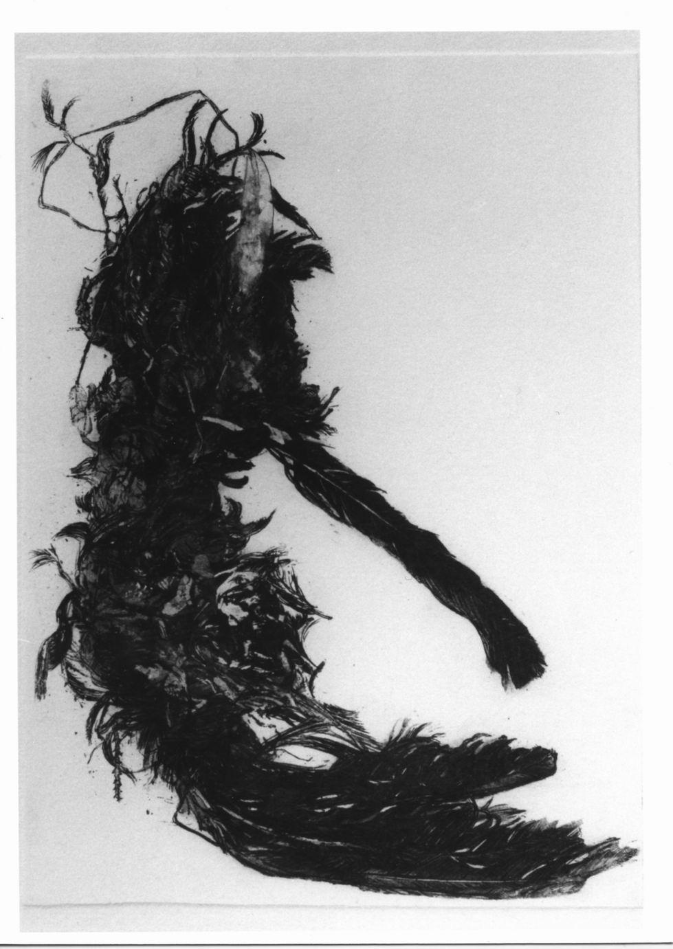 Merlo morto (stampa a colori) di Van der Eecken Miki (sec. XX)