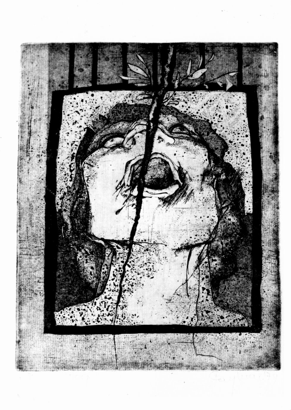 Volto femminile e radice (stampa) di Caymax Katrien (sec. XX)
