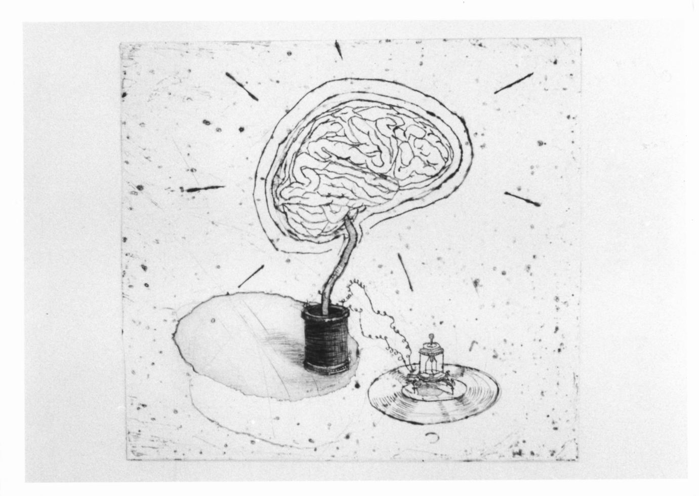 Composizione con vaso, pila, cervello (stampa) di De Boe Rik (sec. XX)