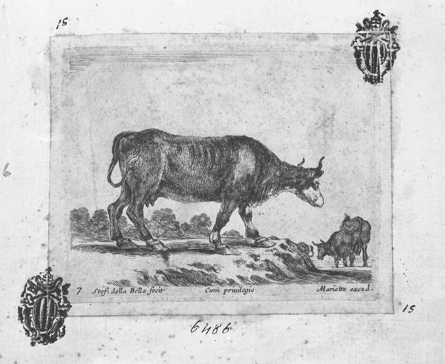 Animali e soggetti di caccia: vacca diretta a destra, animali (stampa tagliata) di Della Bella Stefano (sec. XVII)
