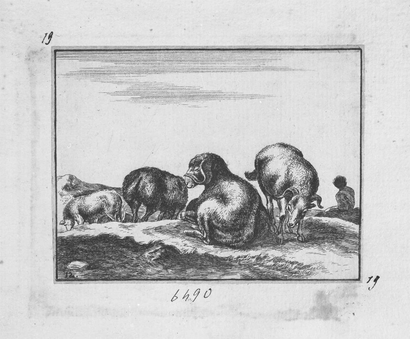 Animali e soggetti di caccia: montoni e pecore al pascolo (copia in controparte), animali (stampa tagliata) di Della Bella Stefano (sec. XVII)