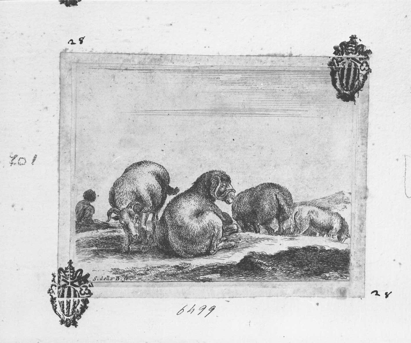 Animali e soggetti di caccia: montoni e pecore al pascolo, animali (stampa tagliata) di Della Bella Stefano (sec. XVII)