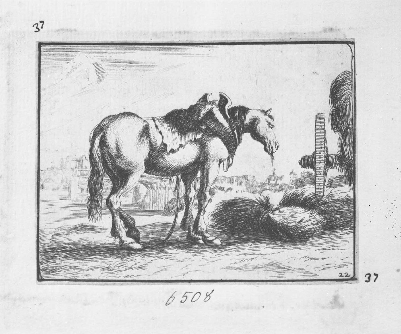 Animali e soggetti di caccia: cavallo da tiro volto a destra (copia in controparte), animali (stampa tagliata) di Della Bella Stefano (sec. XVII)