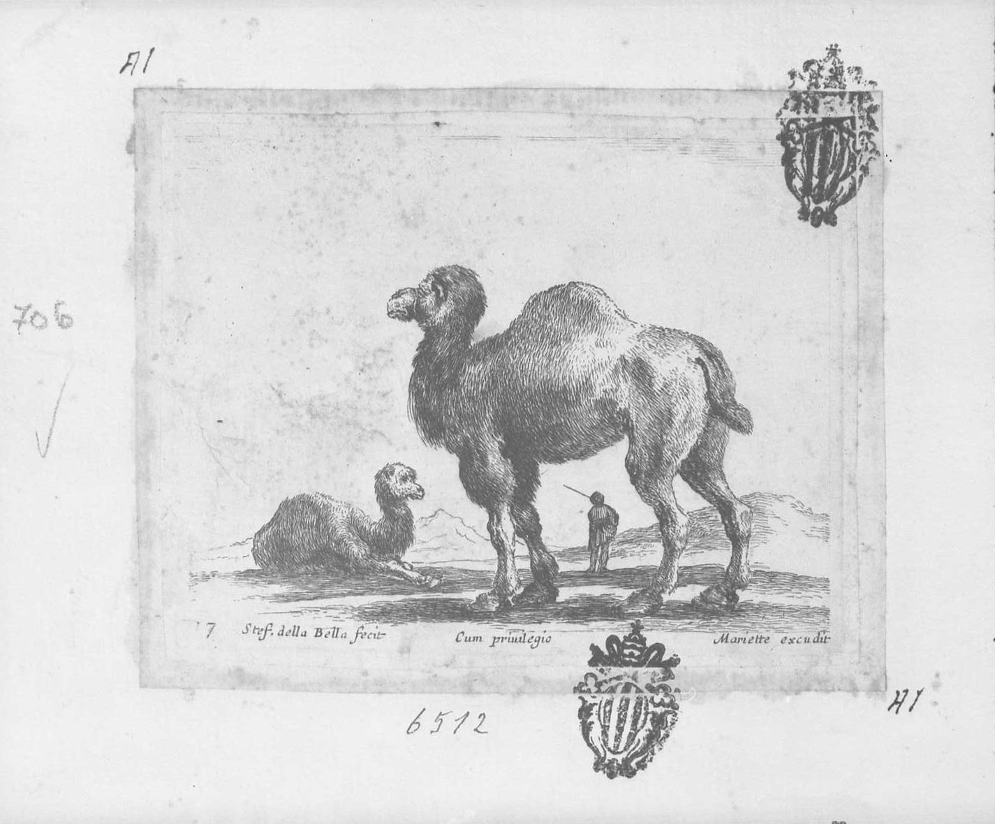 Animali e soggetti di caccia: cammello volto a sinistra, animali (stampa tagliata) di Della Bella Stefano (sec. XVII)