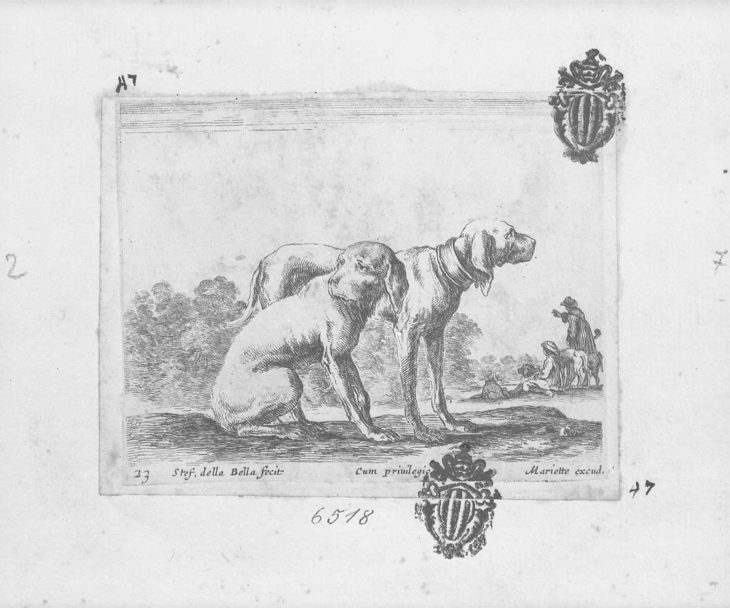 Animali e soggetti di caccia: due cani da caccia volti a destra, animali (stampa tagliata) di Della Bella Stefano (sec. XVII)