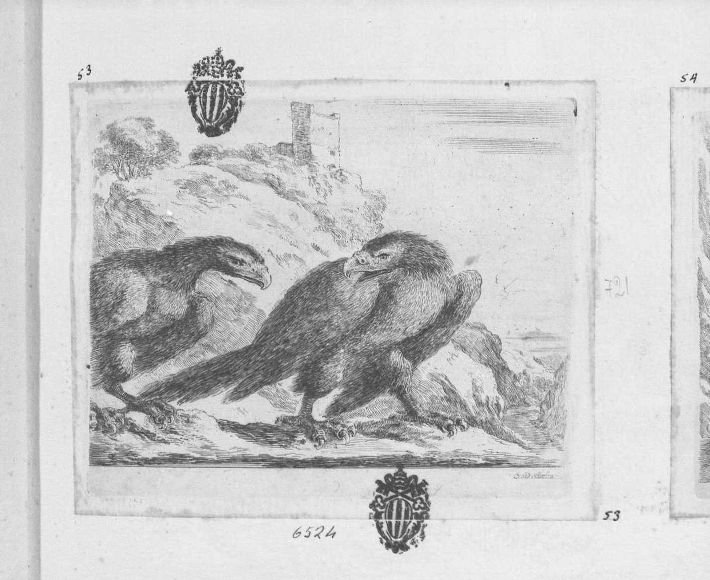 Le aquile: aquila che volge il capo verso un'altra aquila, animali (stampa tagliata) di Della Bella Stefano (sec. XVII)