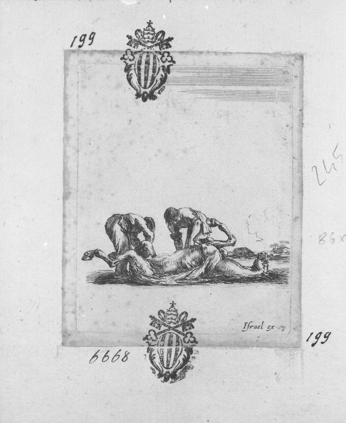 Diversi esercizi di cavalleria: scuoiamento di un cavallo, figure (stampa tagliata) di Della Bella Stefano (sec. XVII)