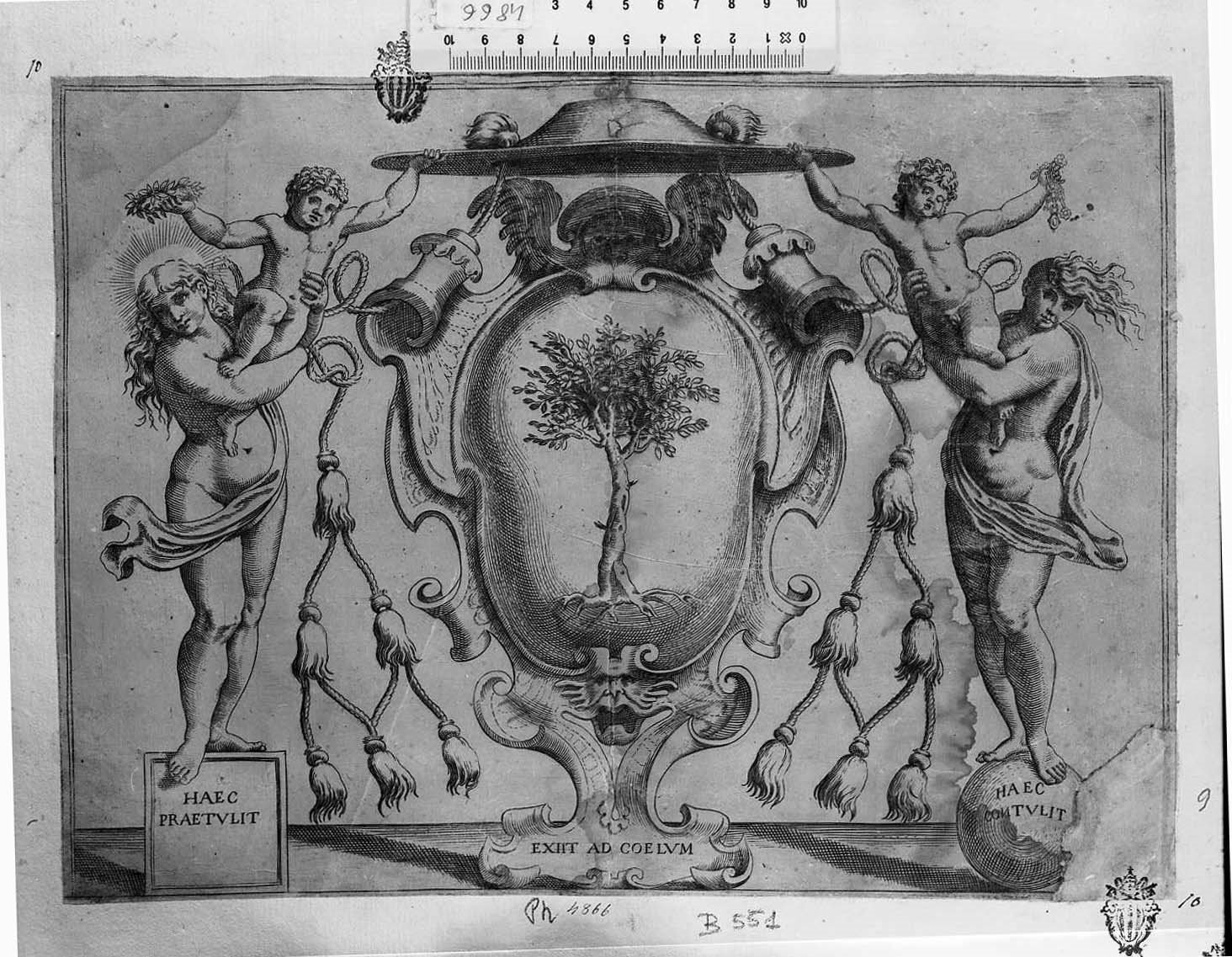 Stemma cardinalizio con un albero e ai lati due donne nude con un bimbo (stemma del card. Facchinetti) (stampa smarginata) di Brizio Francesco (secc. XVI/ XVII)