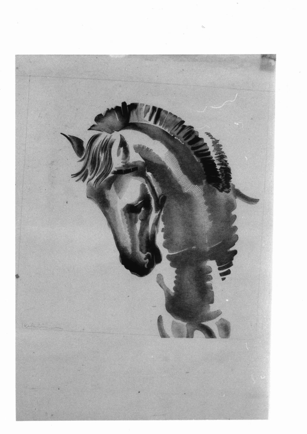 Cavallo (stampa) di Kefalinos Jannis (sec. XX)
