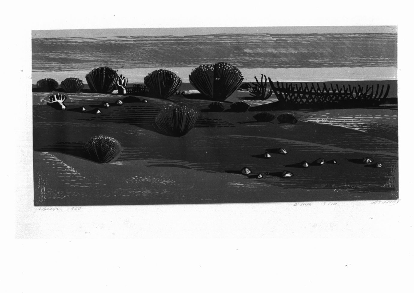 Spiaggia con arbusti e carcassa di barca (stampa a colori) di Tassos Alevizos (sec. XX)