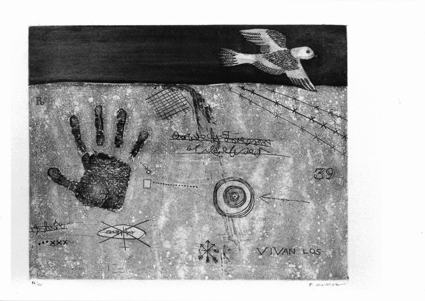 Uccello in cielo e muro con scritte e impronte (stampa) di Alvarez Francisco (sec. XX)
