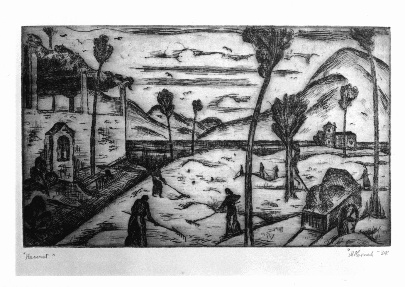 Paesaggio agreste con contadine intente al raccolto (stampa) di McCouch Gordon (sec. XX)