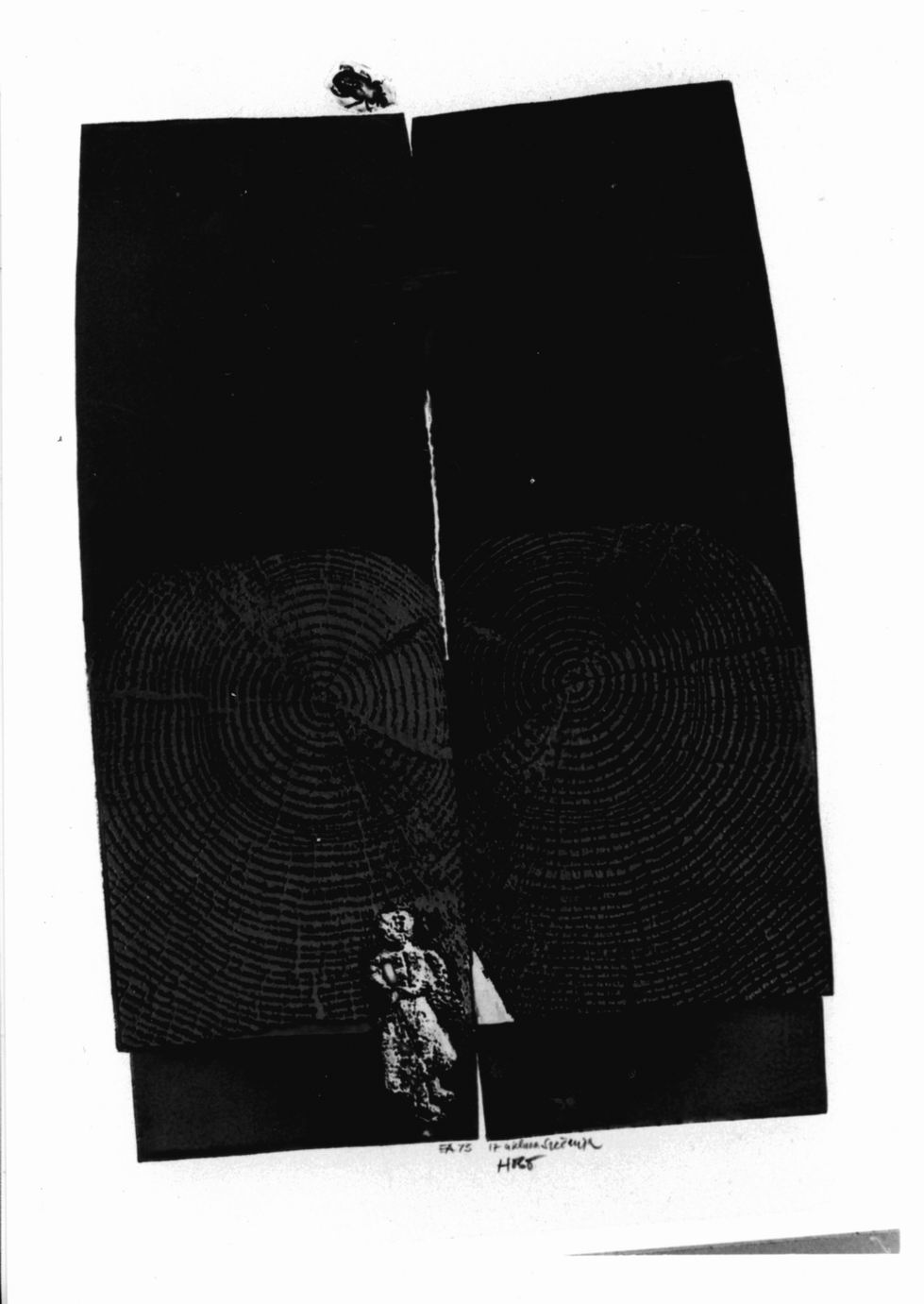 1) Figura fossilizzata 2) Insetto (stampa a colori, elemento d'insieme) di Hozo Dzevad (sec. XX)