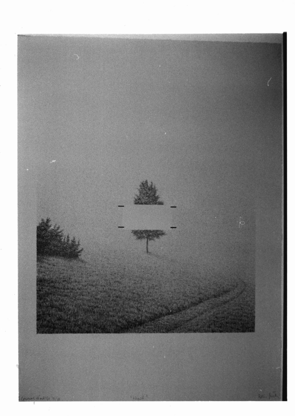 Paesaggio con albero (stampa a colori) di Jesih Boris (sec. XX)