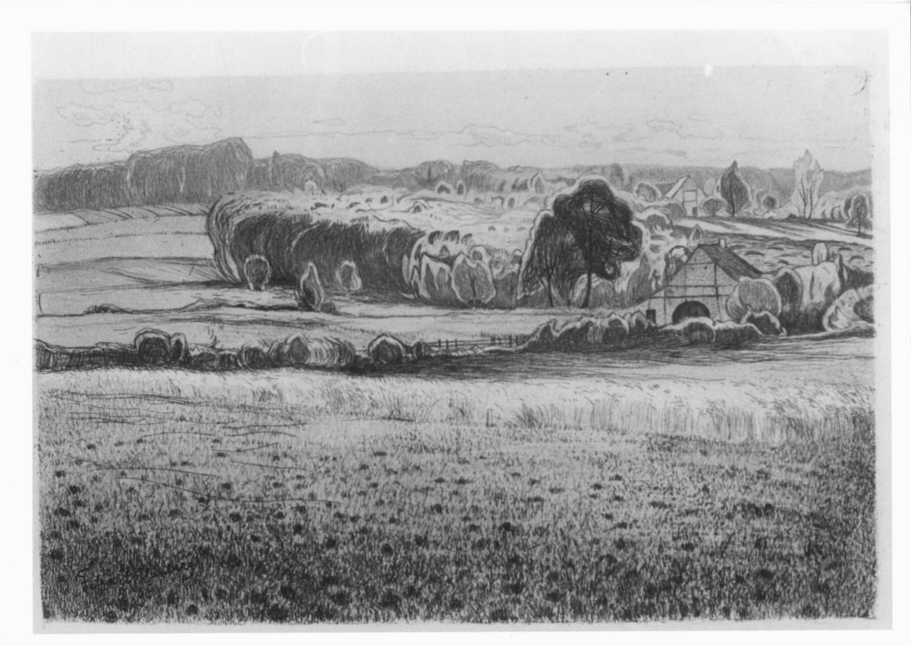 case contadine su collina boscosa (stampa) di Hollenberg Felix (sec. XIX)