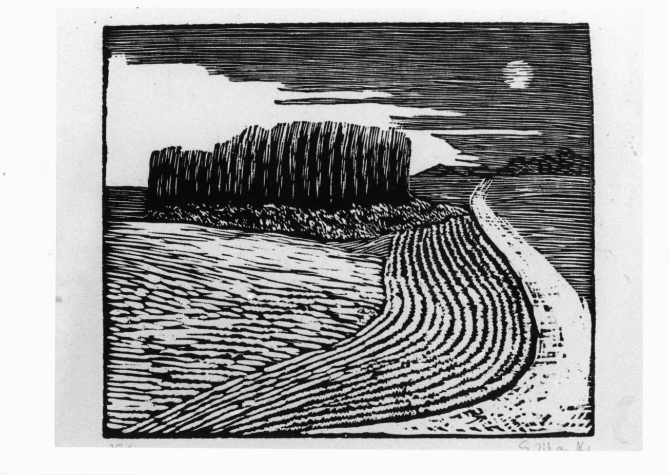 Feld Weg, sentiero fra i campi (stampa) di Marcks Gerhard (sec. XX)