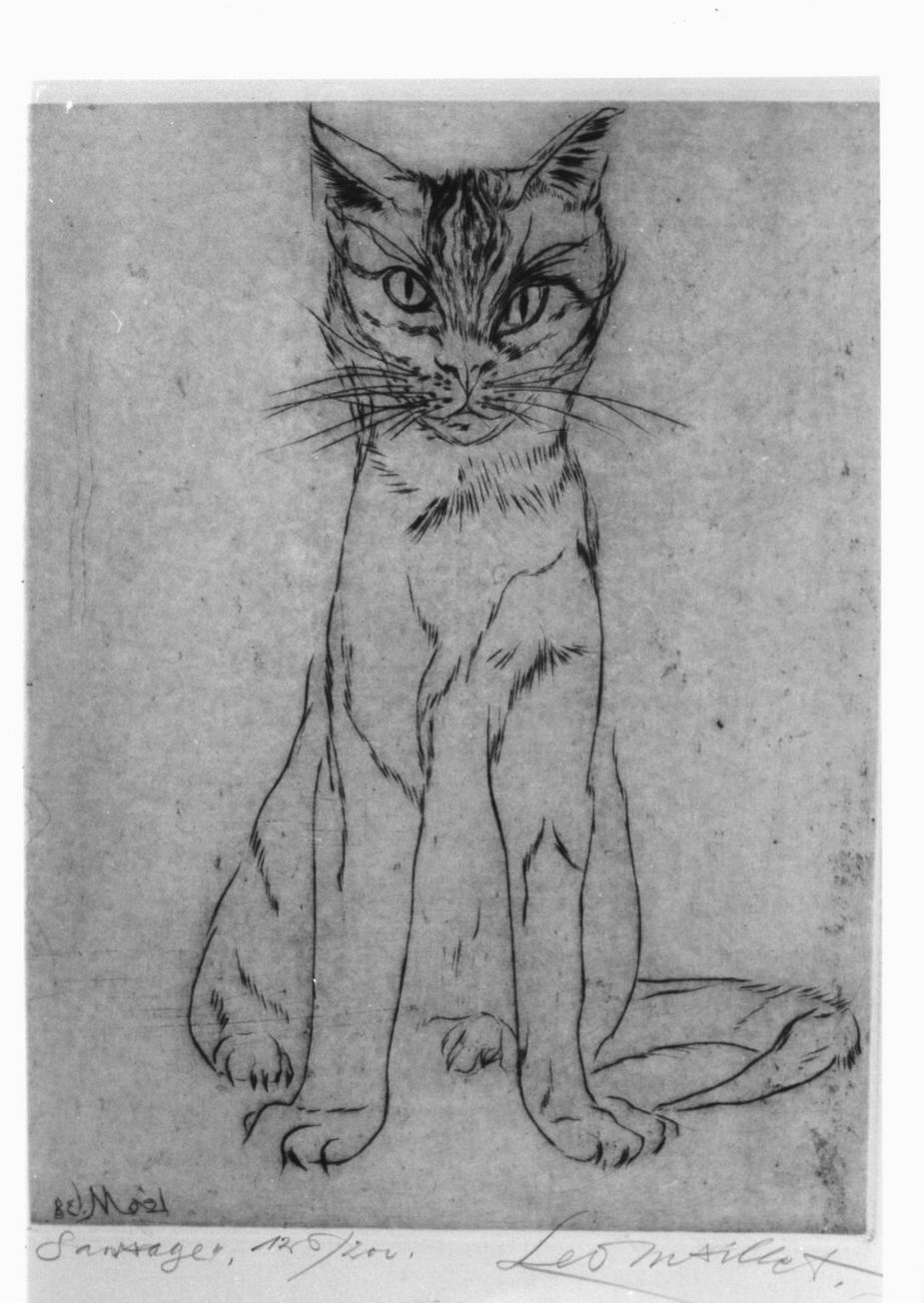 gatto (stampa) di Maillet Leo (sec. XX)