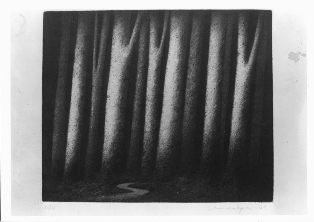 corso d'acqua e alberi (stampa a colori) di Meckseper Friedrich (sec. XX)