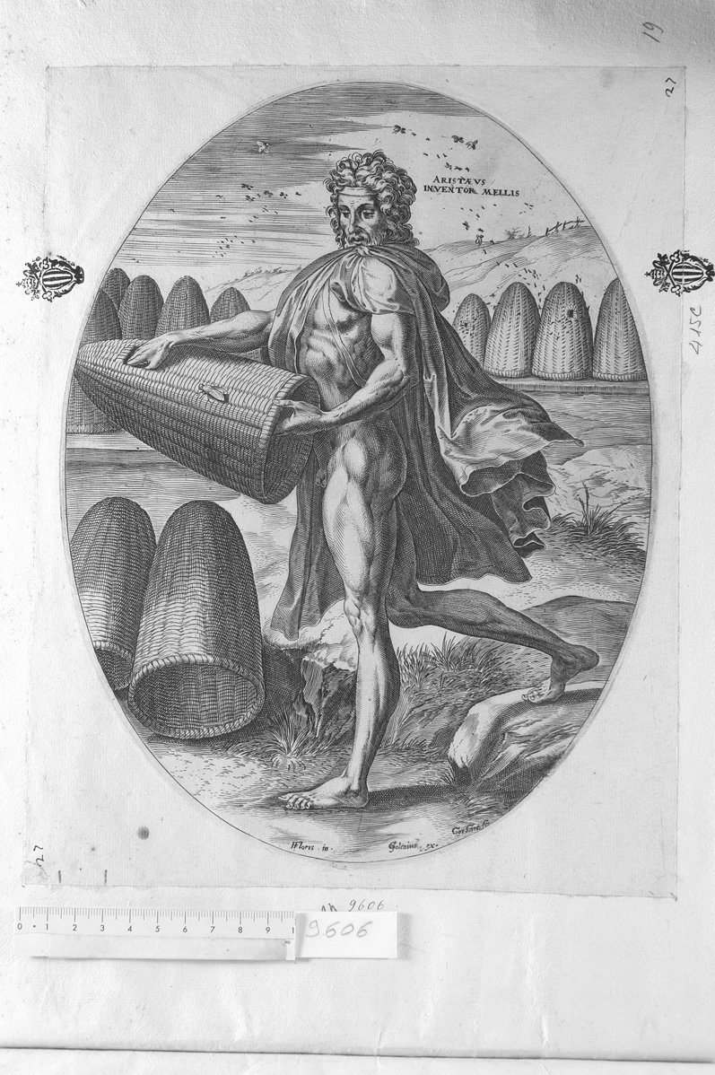Deità che presiedono i mesi: Aristaeus (stampa) di Cort Cornelis (sec. XVI)