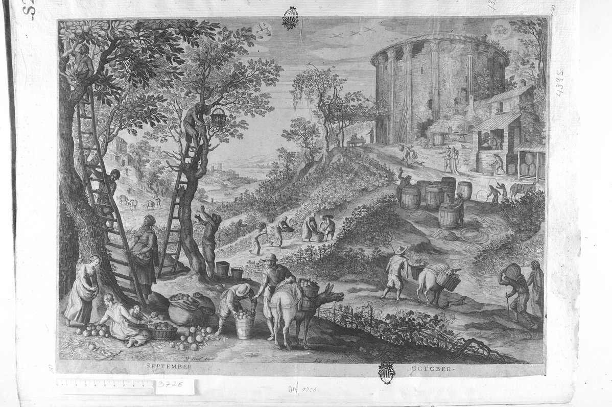 I mesi di settembre e ottobre (stampa) di Sadeler Egidius II (sec. XVII)