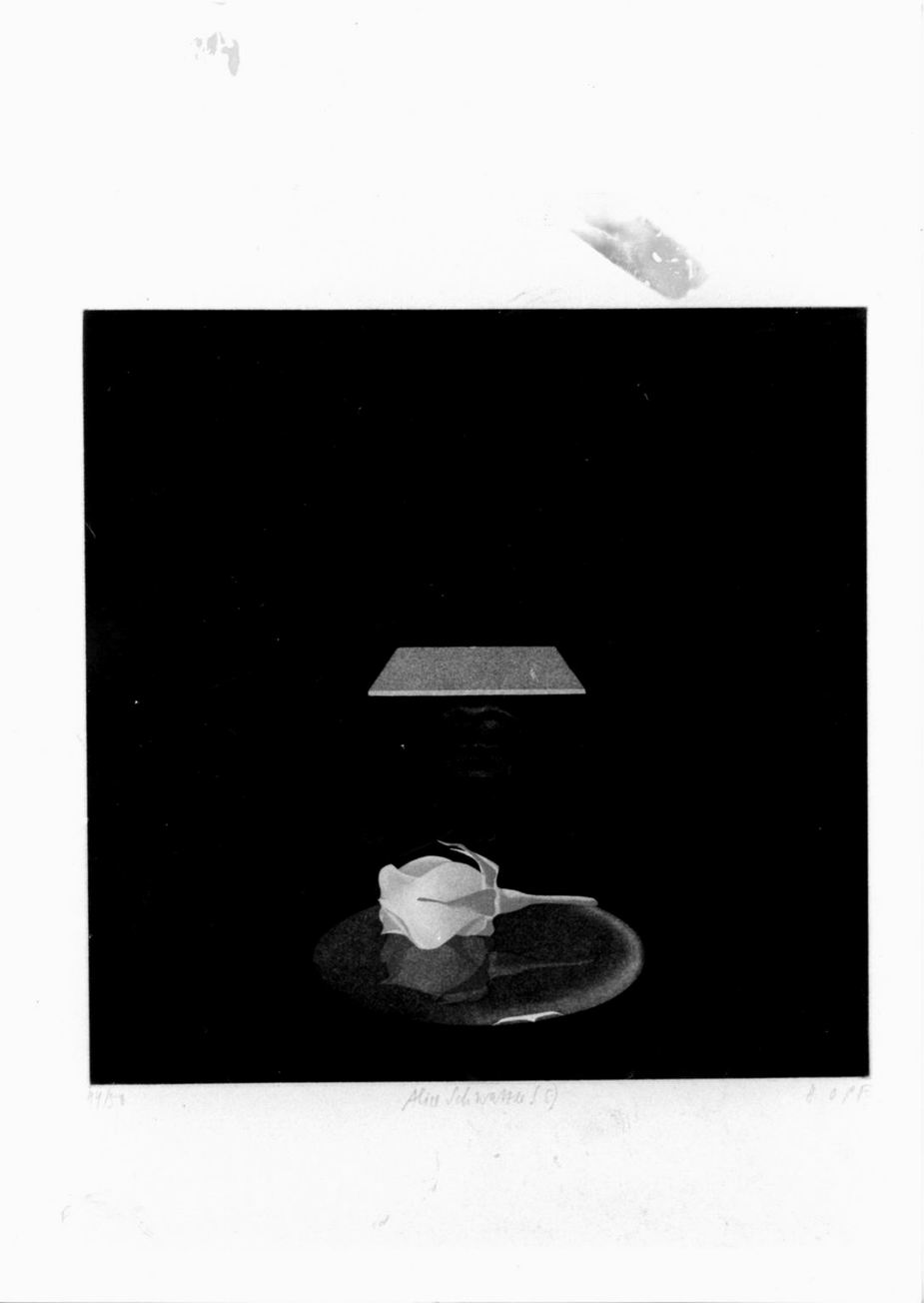 rosa su piano riflettente e parte di volto sotto piano trapezioidale (stampa) di Hopf Sonia (sec. XX)