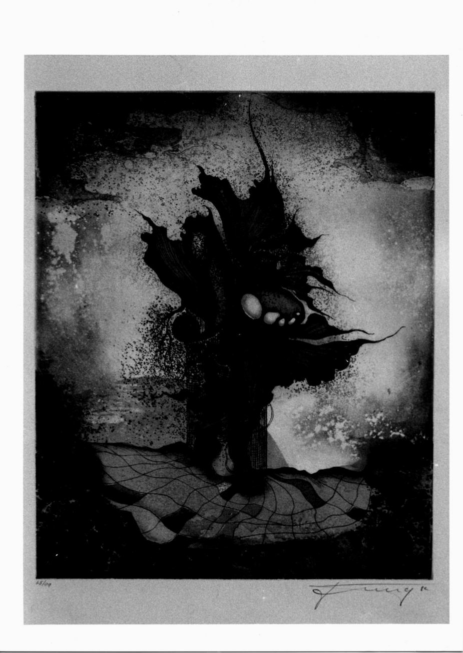 composizione con elementi vegetali e minerali (stampa a colori) di Jung Manfred (sec. XX)