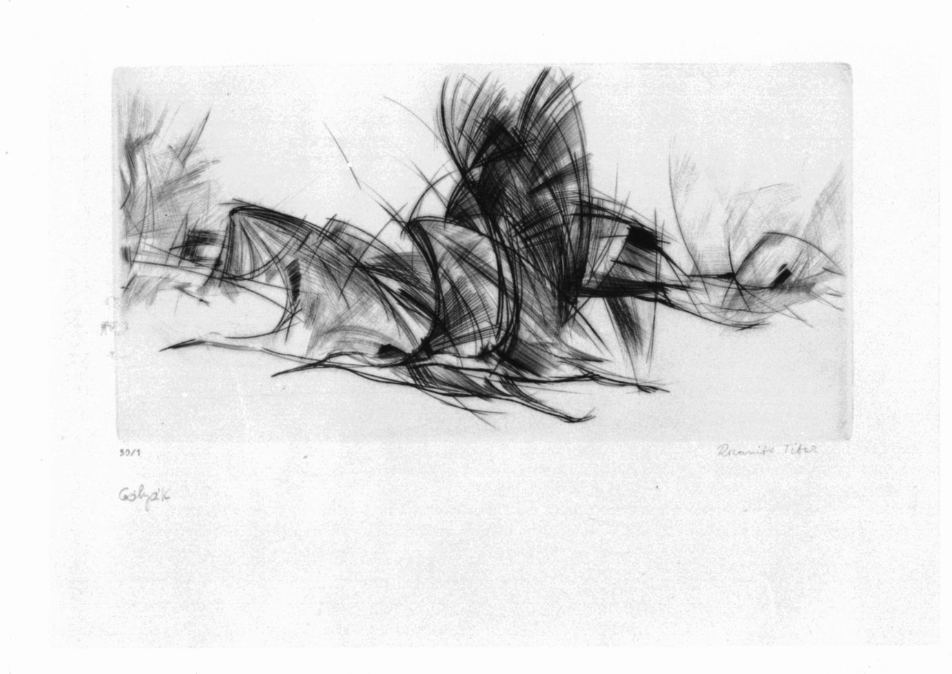 Composizione astratta (stampa) di Rozanits Tibor (sec. XX)