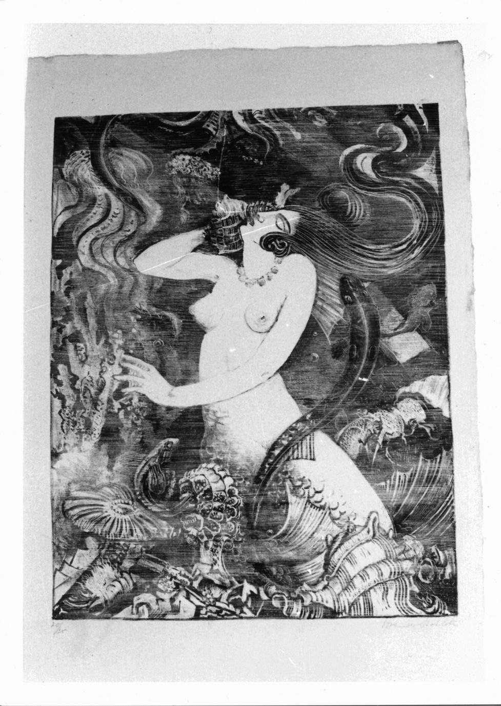 sirena e pesci (stampa) di Van der Stok Henri Gerard Antoine (sec. XX)