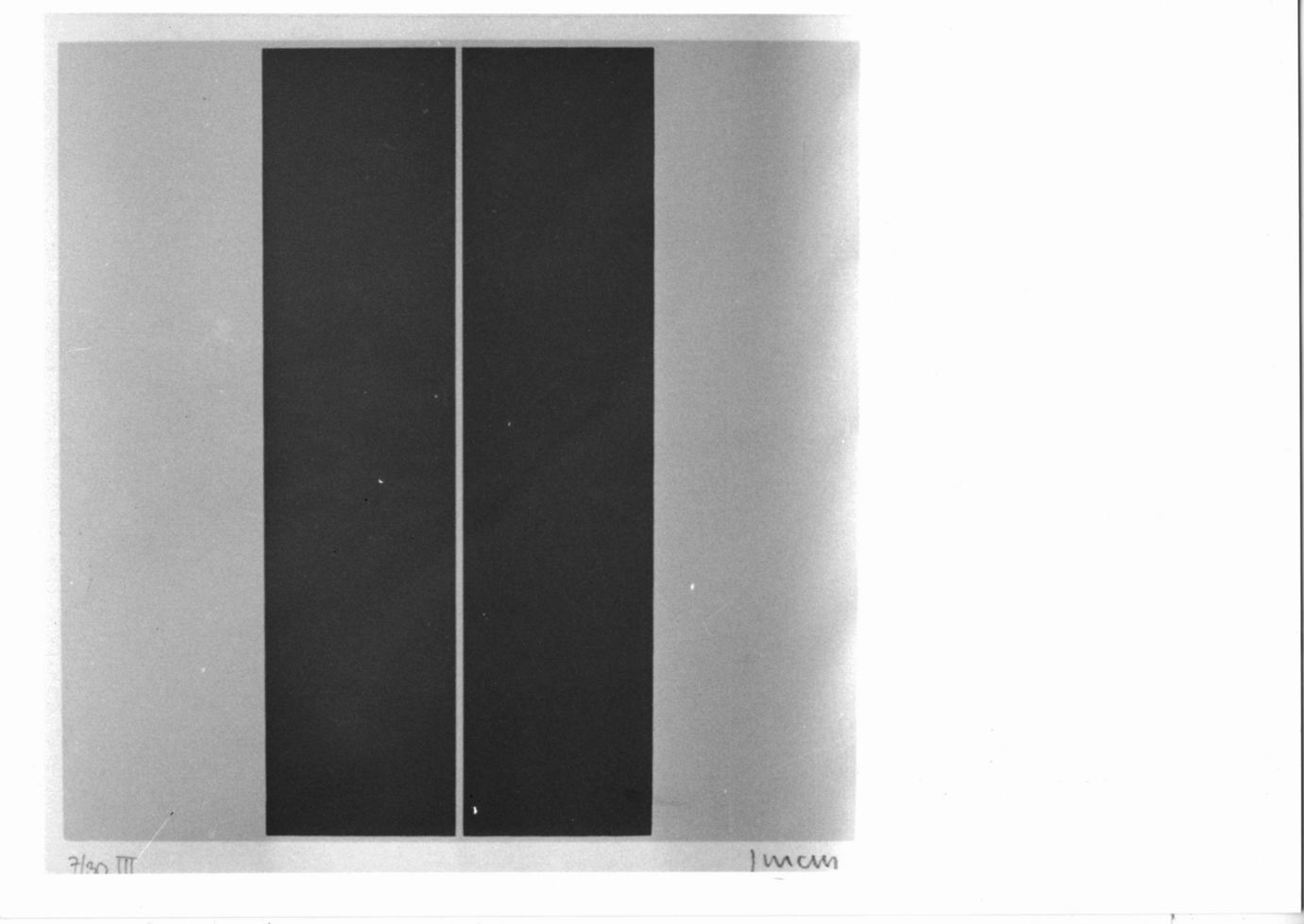 Composizione astratta (stampa a colori) di Furda Fred (sec. XX)