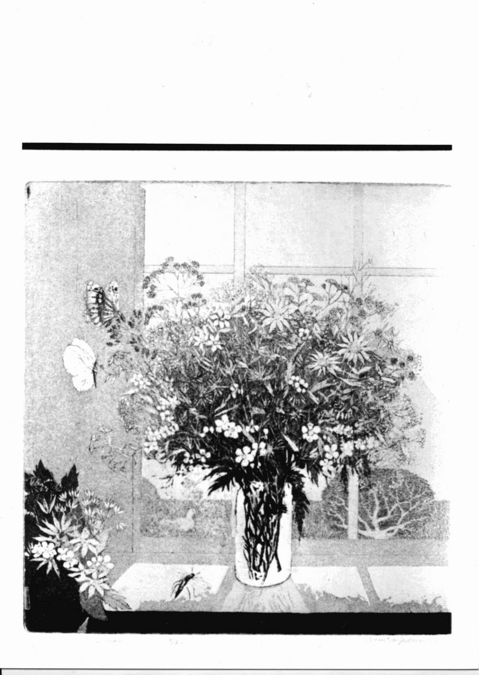 Vaso di fiori davanti a finestra e farfalla (stampa) di Van Iperen Arno (sec. XX)