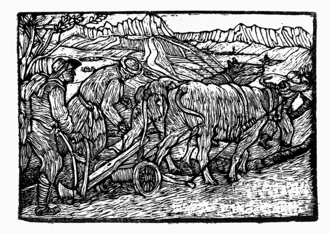 contadini che arano con buoi (stampa) di De Carolis Adolfo (sec. XX)