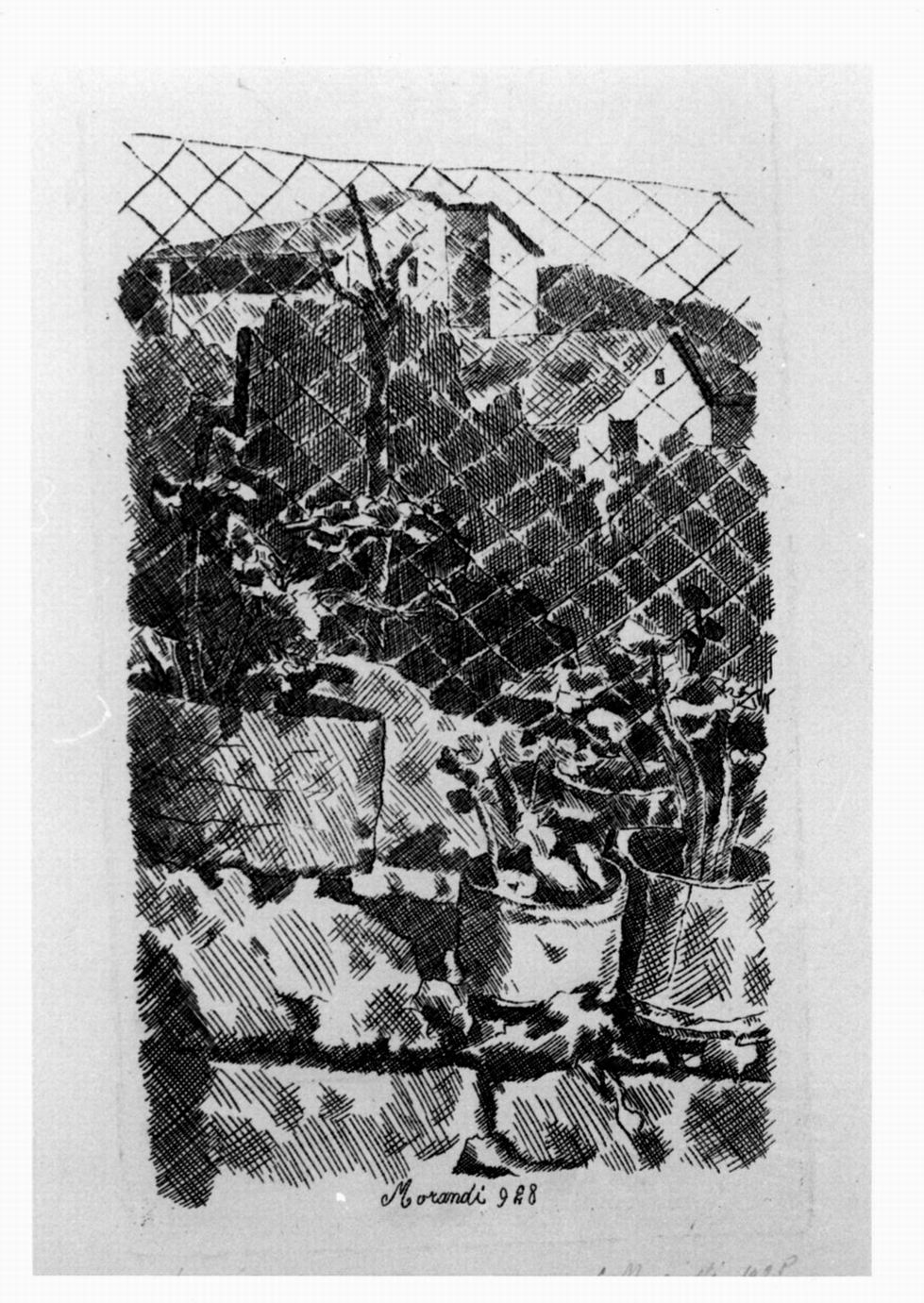 piante di gerani e rete di filo di ferro, piante di gerani e rete di filo di ferro (stampa) di Morandi Giorgio (sec. XX)