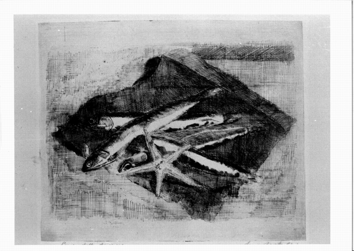 pesci e stella di mare, pesci e stella di mare (stampa) di Bartolini Luigi (sec. XX)