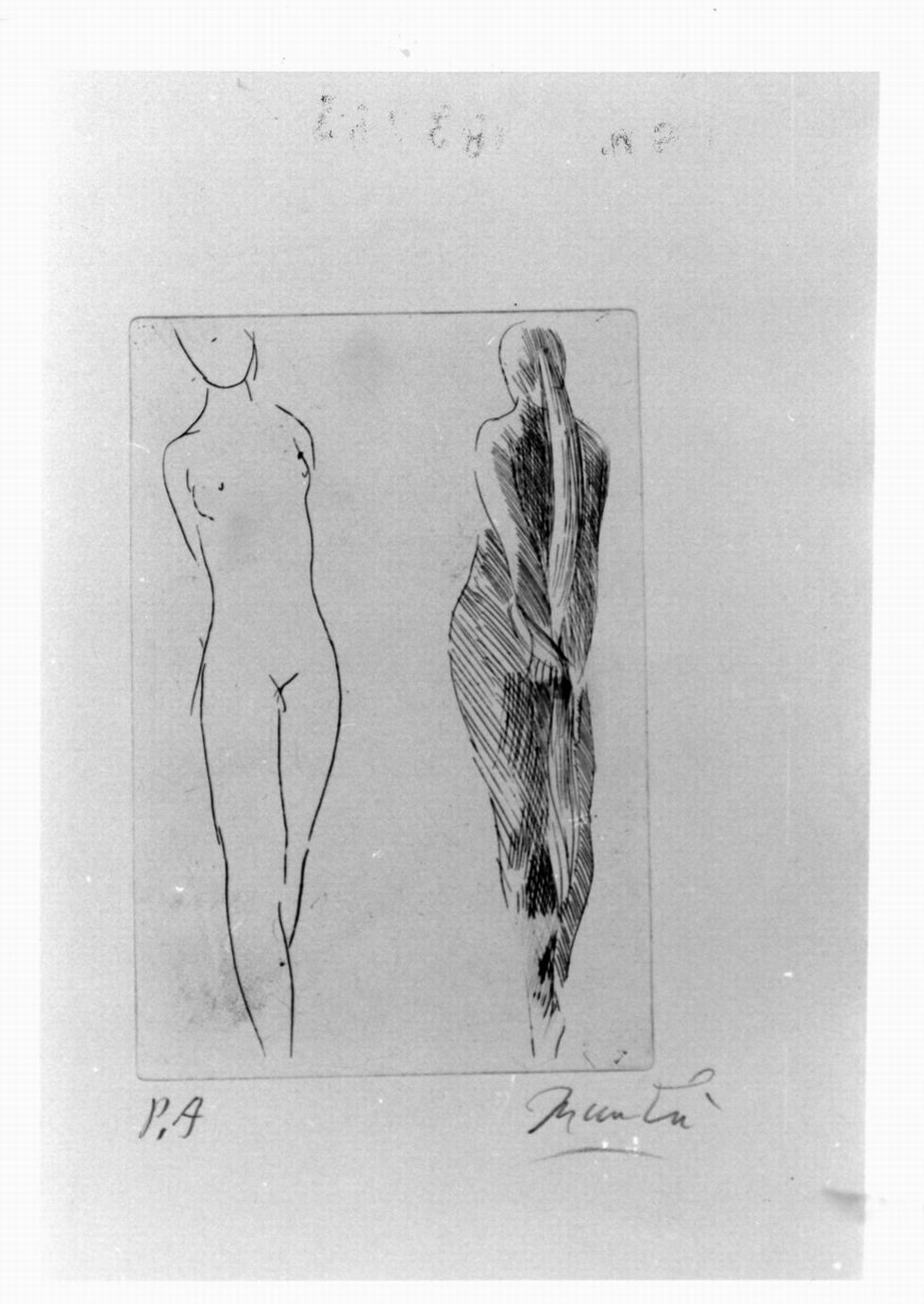 coppia di nudi femminili, uno di fronte, l'altro di spalle (stampa) di Manzù Giacomo (sec. XX)