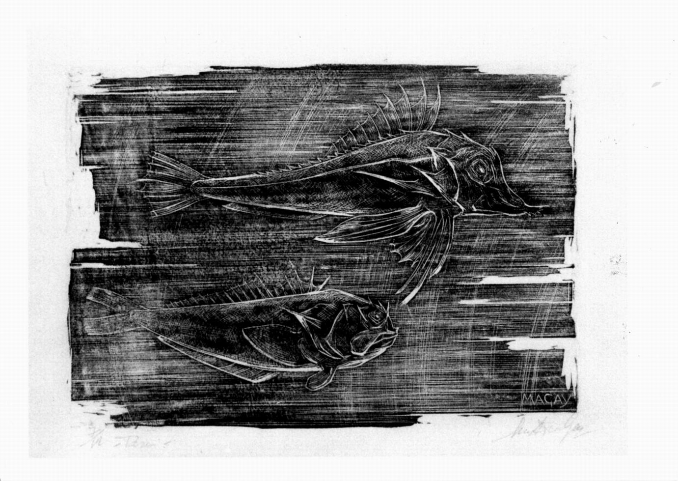 pesci (stampa) di Gay Maria Adriana (sec. XX)