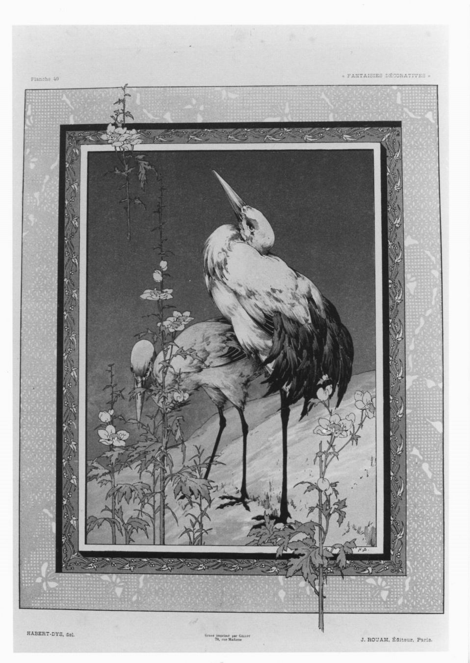 Coppie di cicogne entro cornice ornata (stampa) di Habert-Dys Louis Auguste (secc. XIX/ XX)