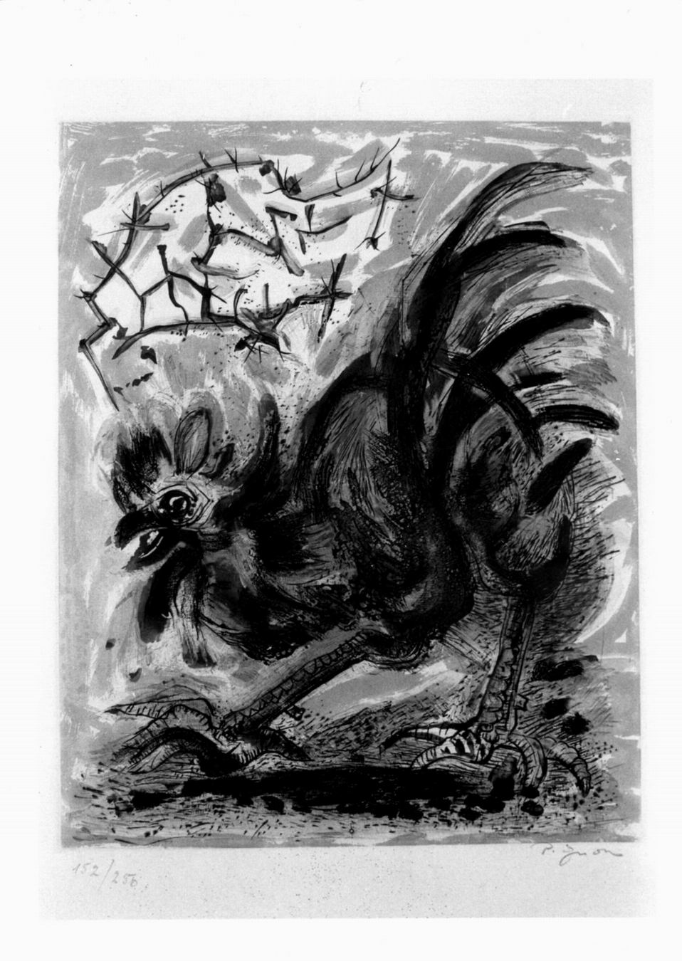 le coq, gallo (stampa colorata a mano) di Pignon Edouard (sec. XX)